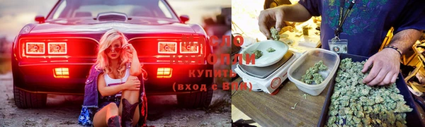 шишки Зерноград