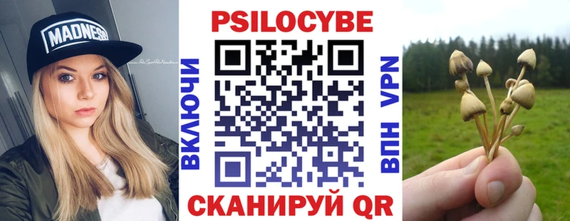 Псилоцибиновые грибы Cubensis  Советск 