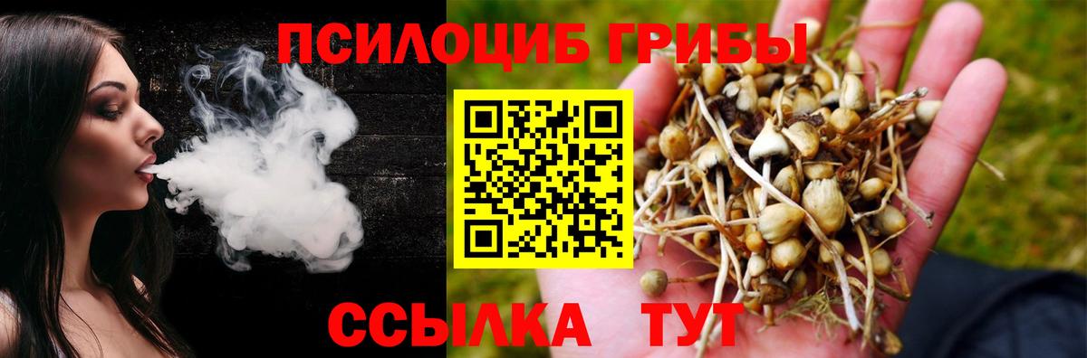 Псилоцибиновые грибы Psilocybine cubensis Советск